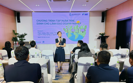 Nâng cao năng lực cho doanh nghiệp ngành thủy sản trong hoạt động tiết kiệm năng lượng