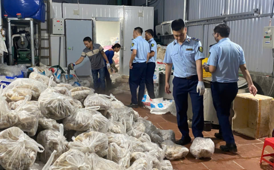 Hà Nội: Phát hiện hơn 11 tấn thực phẩm đông lạnh không rõ nguồn gốc tại Phú Xuyên