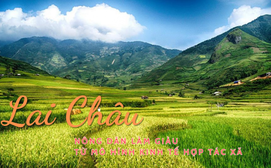 Lai Châu: Nông dân làm giàu từ mô hình kinh tế hợp tác xã