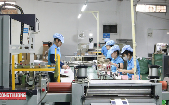 Tăng trưởng kinh tế Đà Nẵng quý I/2025 đứng đầu các thành phố trực thuộc Trung ương