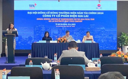 Điện Gia Lai (GEG): Đã hoàn thành 78% mục tiêu lãi cả năm, dự thu 200 tỷ đồng từ thoái vốn