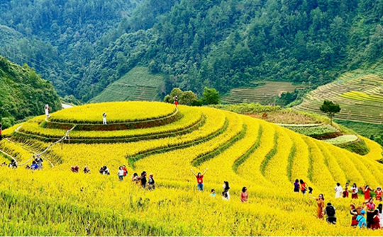 Giải pháp đa dạng hóa sản phẩm du lịch tại Mù Cang Chải, tỉnh Yên Bái