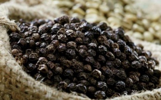 Giá tiêu hôm nay 10/5: Nhập khẩu tiêu của Việt Nam lên sát mức kỷ lục