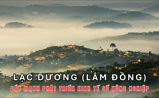 Lạc Dương (Lâm Đồng): Đẩy mạnh phát triển kinh tế số nông nghiệp