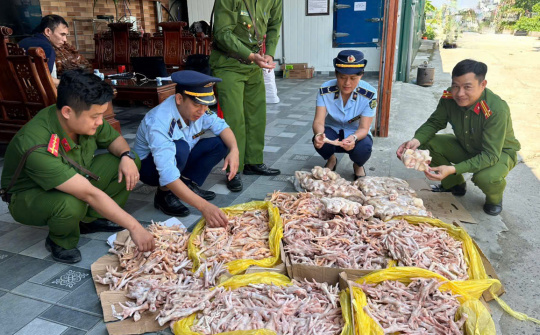 Nghệ An: Phát hiện gần 500kg chân gà, đuôi lợn đông lạnh không đảm bảo an toàn thực phẩm