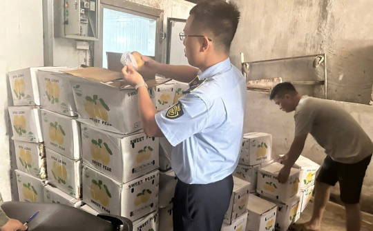 Thái Nguyên: Phát hiện, xử lý gần 1,2 tấn hoa quả nhập lậu