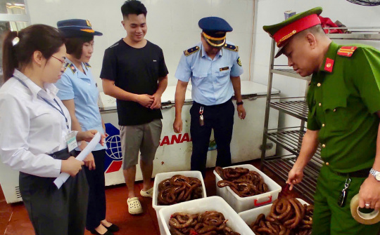 Quảng Ninh: Xử lý 56 vụ vi phạm an toàn thực phẩm trong Tháng hành động vì an toàn thực phẩm năm 2025