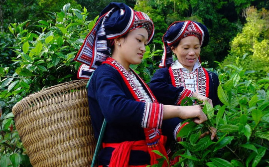 Điều chỉnh nội dung Chương trình phát triển kinh tế-xã hội vùng dân tộc thiểu số