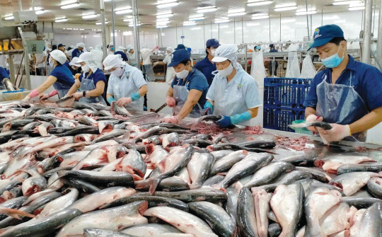 Indonesia thực hiện các quy định mới về kiểm dịch hàng hoá