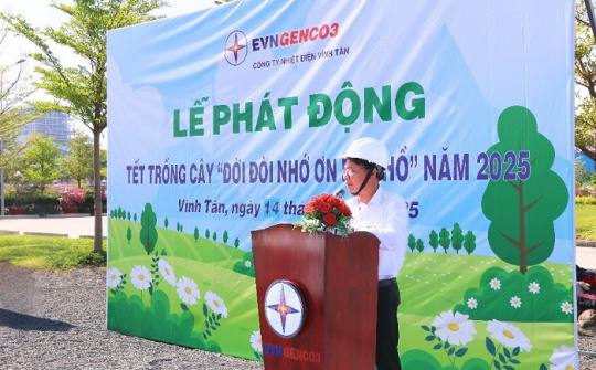 Nhiệt điện Vĩnh Tân 2: Trồng mới hơn 300 cây xanh tại Nhà máy