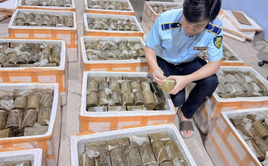 Phát hiện, tiêu hủy 1 tấn chả chay không rõ nguồn gốc, xuất xứ