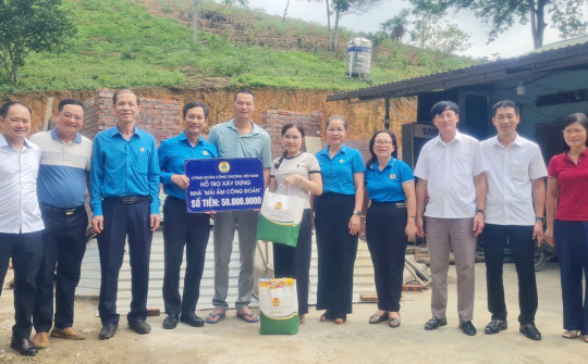 Kinh tế hộ lâm nghiệp: Lan tỏa từ những cánh rừng nguyên liệu giấy