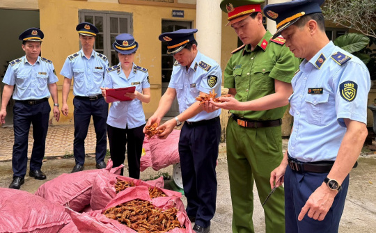 Ngăn chặn kịp thời 1,5 tấn chân gà không rõ nguồn gốc xuất xứ