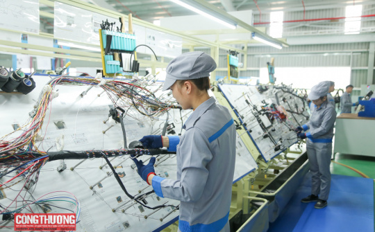 Quỹ tài chính tiết kiệm năng lượng: Giải pháp khơi thông nguồn lực cho chuyển đổi xanh