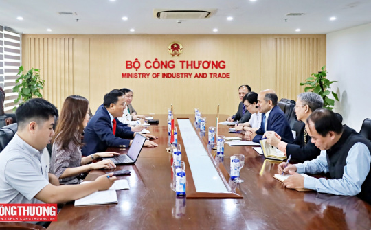 Việt Nam - Ấn Độ tăng cường hợp tác năng lượng tái tạo và điện hạt nhân