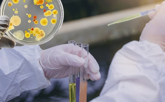 Phân hủy ampicillin bằng kỹ thuật quang xúc tác trên cơ sở ZnSe mang trên TiO2