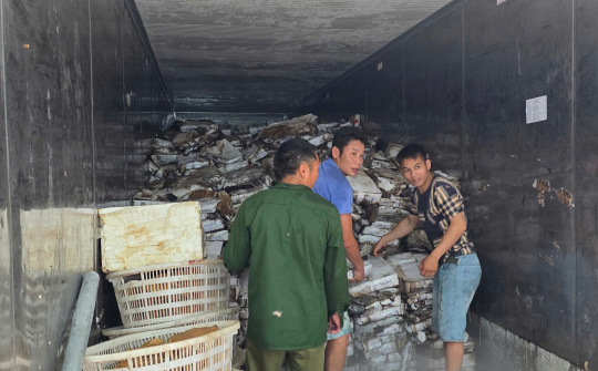 Tạm giữ hơn 25 tấn thực phẩm không rõ nguồn gốc tại kho lạnh ở Móng Cái