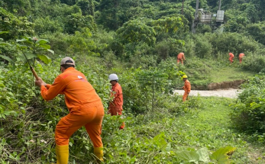 Công ty Thủy điện Sơn La: Chủ động hưởng ứng tuần lễ Quốc gia phòng, chống thiên tai năm 2025