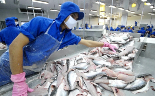 Thuỷ sản Vĩnh Hoàn (VHC): Doanh thu tháng 4 duy trì trên mức nghìn tỷ, đa dạng hoá thị trường