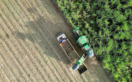 TTC AgriS (SBT): Tiêu thụ đường vượt mốc triệu tấn, đẩy mạnh đa dạng hoá thị trường xuất khẩu