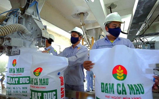 Xuất khẩu tăng tốc, Đạm Cà Mau (DCM) báo lãi ròng cao nhất 3 năm