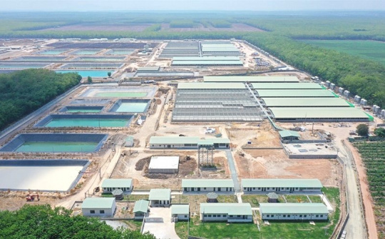 BaF Việt Nam (BAF): Dự báo giá heo hơi tăng trở lại ngưỡng 80.000 đồng/kg, “khoe” lợi thế năng suất