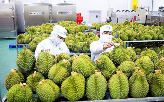 Bảo đảm sản xuất, tiêu thụ, xuất khẩu nông lâm thủy sản trong biến động thương mại toàn cầu