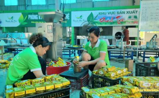 Thái Nguyên: Phát huy hiệu quả của các mô hình liên kết sản xuất - tiêu thụ