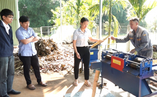 Quảng Nam: Đề án khuyến công nâng tầm sản phẩm quế Trà My