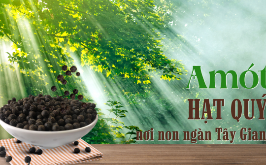 Amót - Hạt quý nơi non ngàn Tây Giang