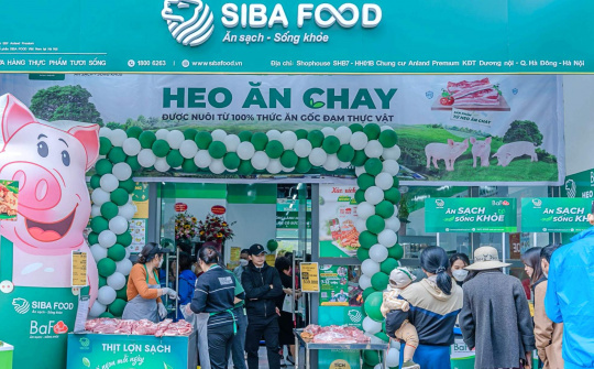 AI NEWS - Nền tảng tin tức chứng khoán