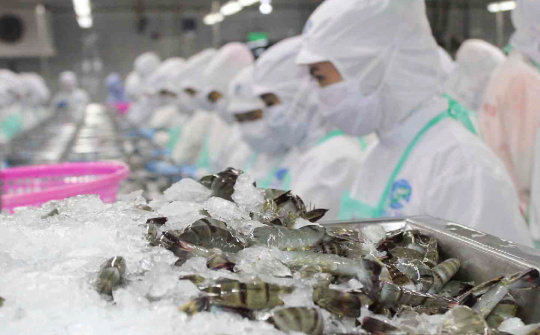 Hoa Kỳ ban hành kết luận sơ bộ rà soát POR19 giai đoạn từ 01/02/2023 đến 31/01/2024