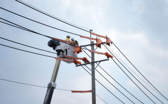 Tổng công ty Điện lực Thành phố Hồ Chí Minh tăng cường kiểm tra công tác an toàn trong lao động