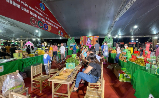 Thái Nguyên: Phát triển làng nghề truyền thống tạo sinh kế cho đồng bào dân tộc thiểu số