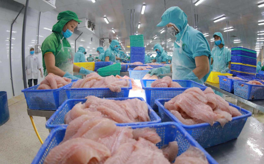 Đơn hàng làm không kịp, Thủy sản Nam Việt (ANV) kỳ vọng lãi năm nay tăng 6 lần