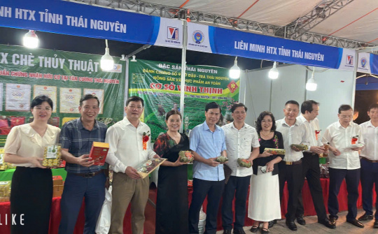 Thái Nguyên phát triển nội lực cho hợp tác xã vùng đồng bào dân tộc thiểu số