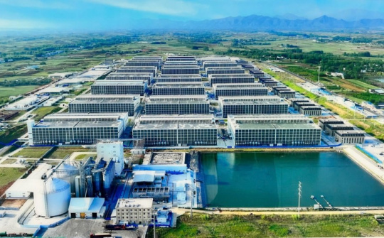 BAF Việt Nam (BAF): Dự kiến thu hơn 12.000 tỷ đồng doanh thu/năm từ 2 tổ hợp nuôi heo cao tầng