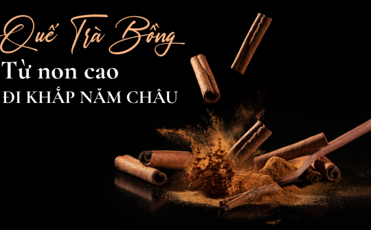 Quế Trà Bồng: Từ non cao đi khắp năm châu