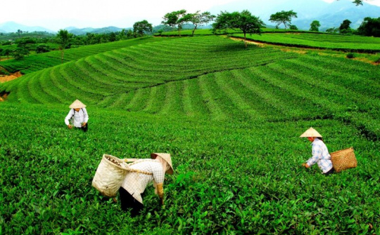 Thái Nguyên: Tên gọi của 92 xã, phường mới sau sáp nhập