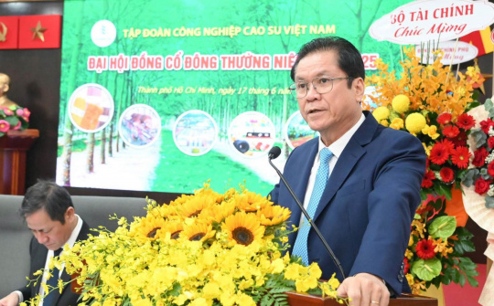 Cao su Việt Nam (GVR): Thị trường thiếu hụt nguồn cung mủ cao su đến năm 2028