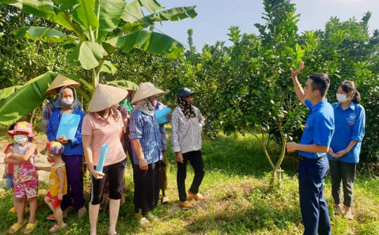 Lạng Giang (Bắc Giang): Phát huy hiệu quả các mô hình giảm nghèo