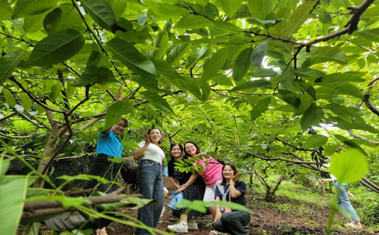 Huyện Võ Nhai: Điểm sáng vùng cao trong xây dựng nông thôn mới và phát triển kinh tế du lịch