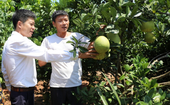 Bắc Giang: Tư duy đổi mới, hành động quyết liệt trong công tác giảm nghèo