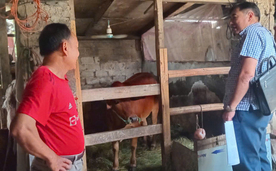 Bắc Giang: Tập trung giảm nghèo bền vững giai đoạn 2026 - 2030