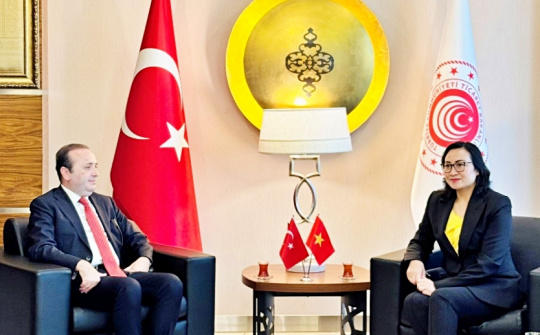 Hợp tác kinh tế thương mại và đầu tư: Điểm sáng quan hệ Việt Nam - Thổ Nhĩ Kỳ