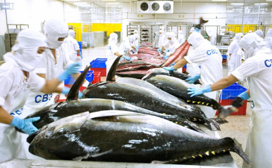 Nhiều tiềm năng xuất khẩu cá ngừ Việt Nam sang các thị trường Halal