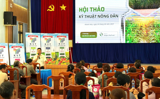 Phân Bón Hàn-Việt: giúp nông dân phân biệt phân bón giả và sử dụng hiệu quả trên cây mía