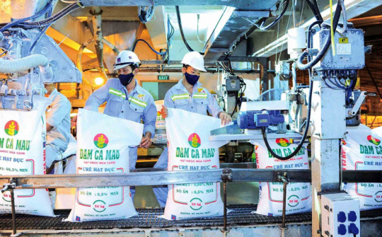 Đạm Cà Mau (DCM): Lợi nhuận bứt phá vượt 22% kế hoạch sau 6 tháng đầu năm 2025
