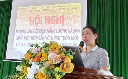 Quảng Nam: Tổ chức Hội nghị Tiết kiệm năng lượng và Sản xuất sạch hơn tại xã đảo Tam Hải