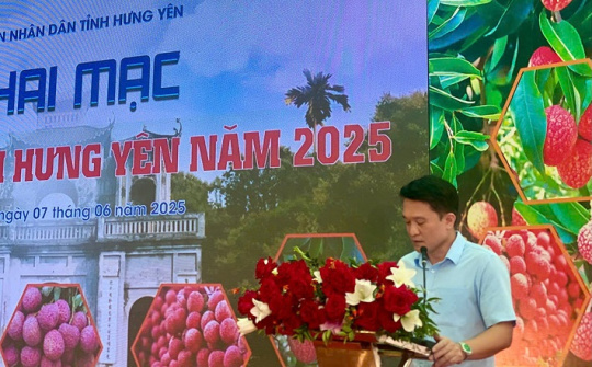 Phiên chợ vải Hưng Yên 2025: Sắc màu nông sản và kết nối thị trường